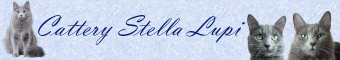 Stella Lupi