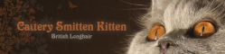 Smitten Kitten