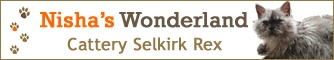 Nisha's Wonderland