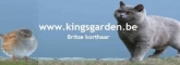 of Kings Garden