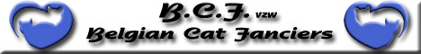 Banner BCF groot