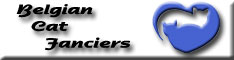 Banner BCF medium