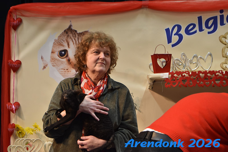 BCF kattenshow