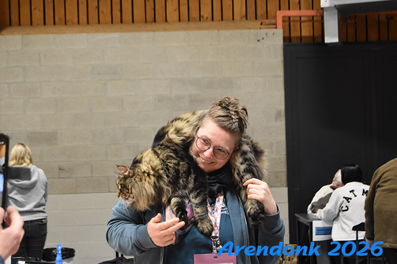 BCF kattenshow