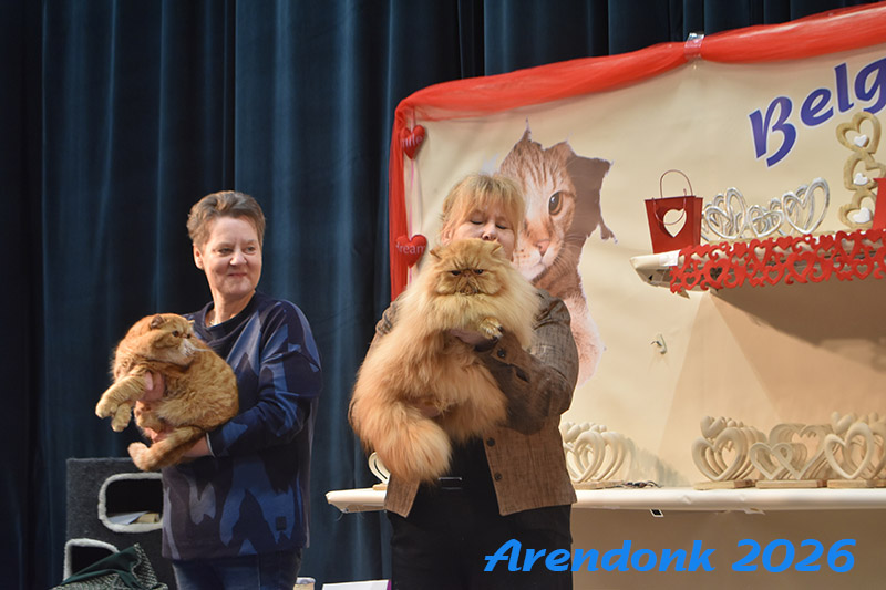 BCF kattenshow