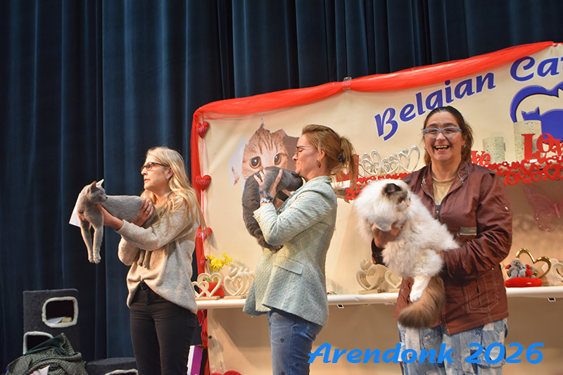 BCF kattenshow