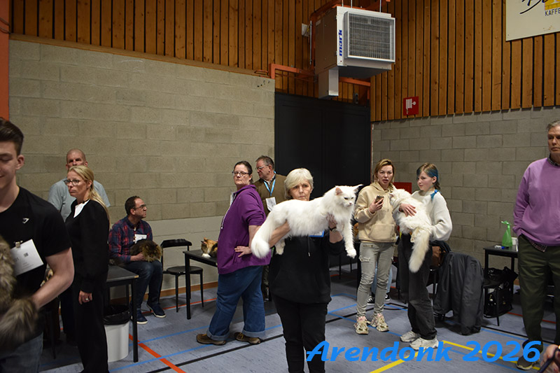 BCF kattenshow